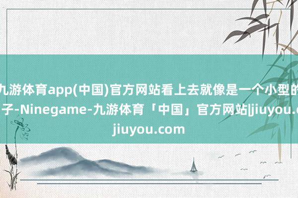 九游体育app(中国)官方网站看上去就像是一个小型的小勺子-Ninegame-九游体育「中国」官方网站|jiuyou.com